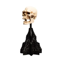 Weta - Le Seigneur des Anneaux - Skull of a Mordor Orc - LOTR