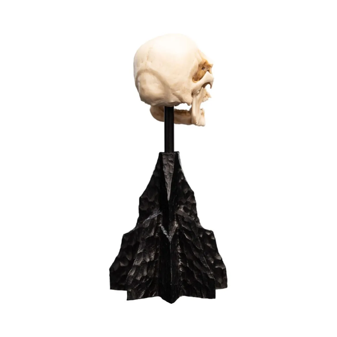 Weta - Le Seigneur des Anneaux - Skull of a Mordor Orc - LOTR
