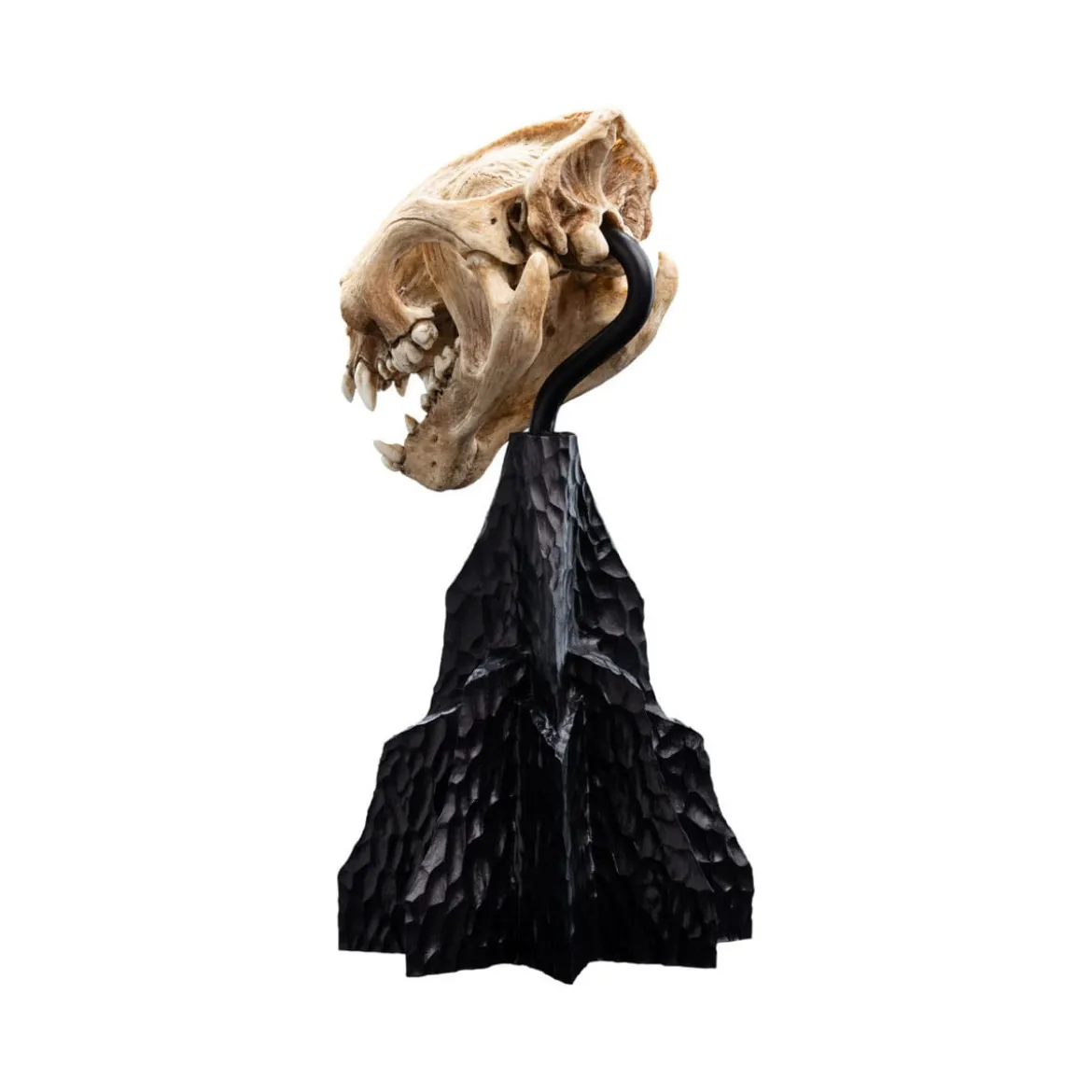Weta - Le Seigneur des Anneaux - Skull of Warg - LOTR