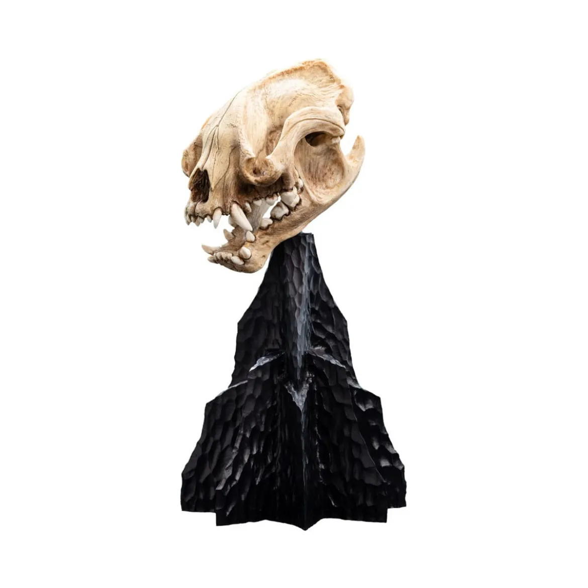 Weta - Le Seigneur des Anneaux - Skull of Warg - LOTR