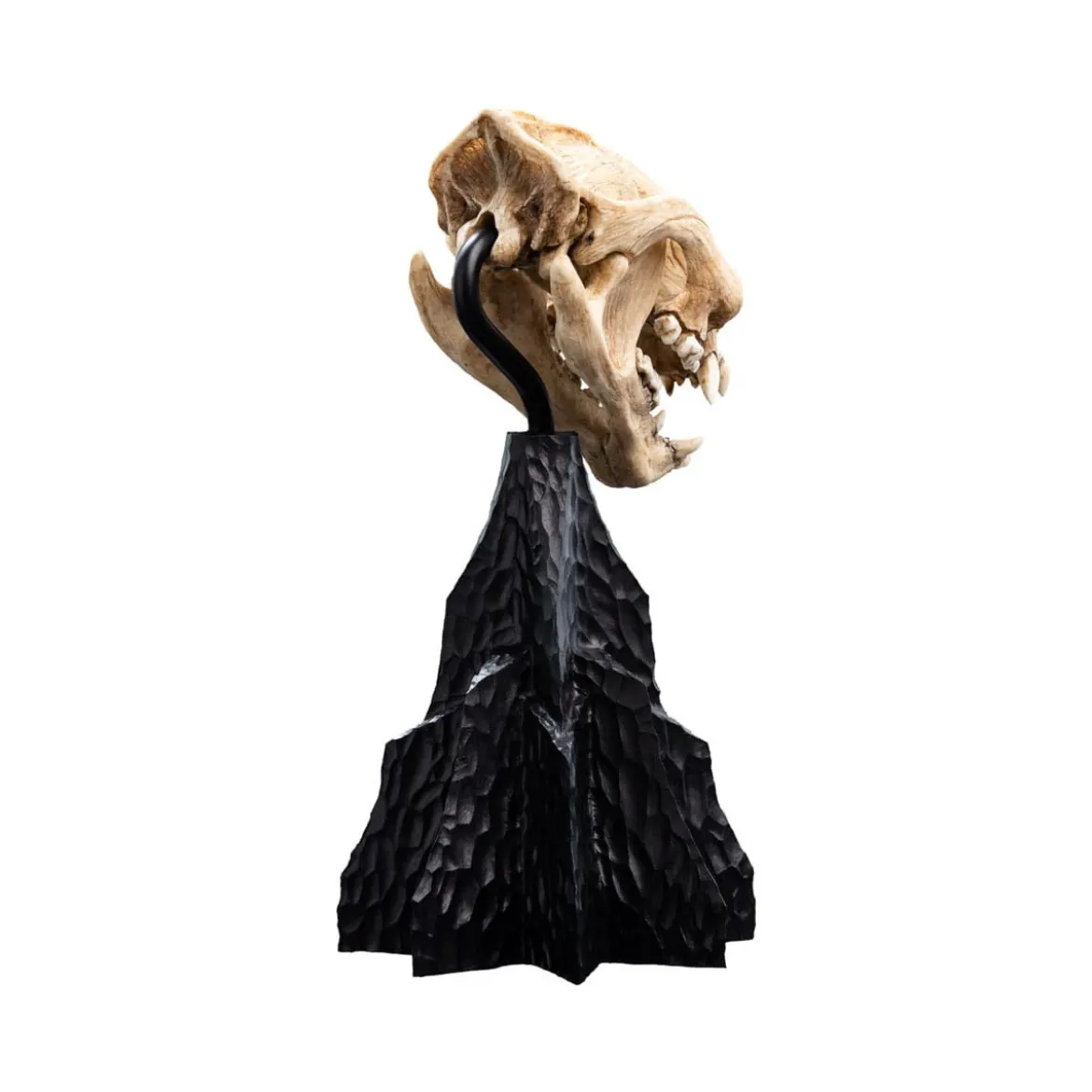 Weta - Le Seigneur des Anneaux - Skull of Warg - LOTR