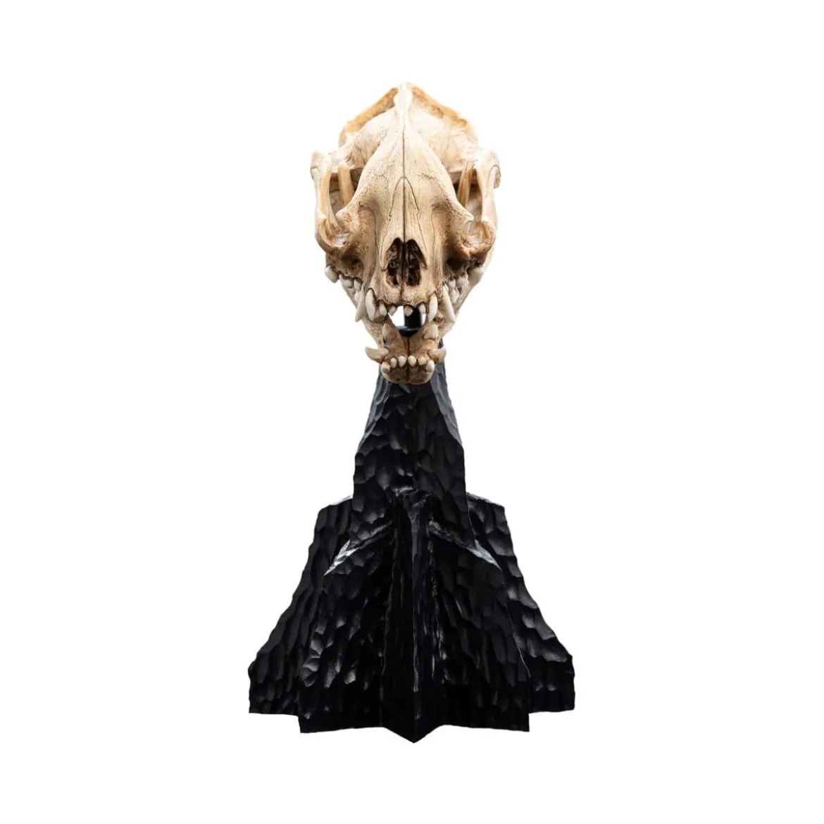 Weta - Le Seigneur des Anneaux - Skull of Warg - LOTR