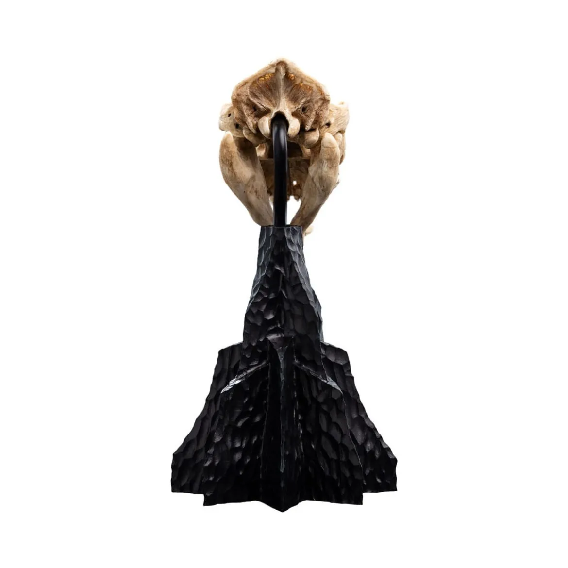 Weta - Le Seigneur des Anneaux - Skull of Warg - LOTR