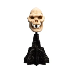 Weta - Le Seigneur des Anneaux - Skull of Lurtz - LOTR