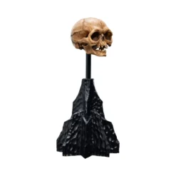 Weta - Le Seigneur des Anneaux - Skull of Gollum - LOTR