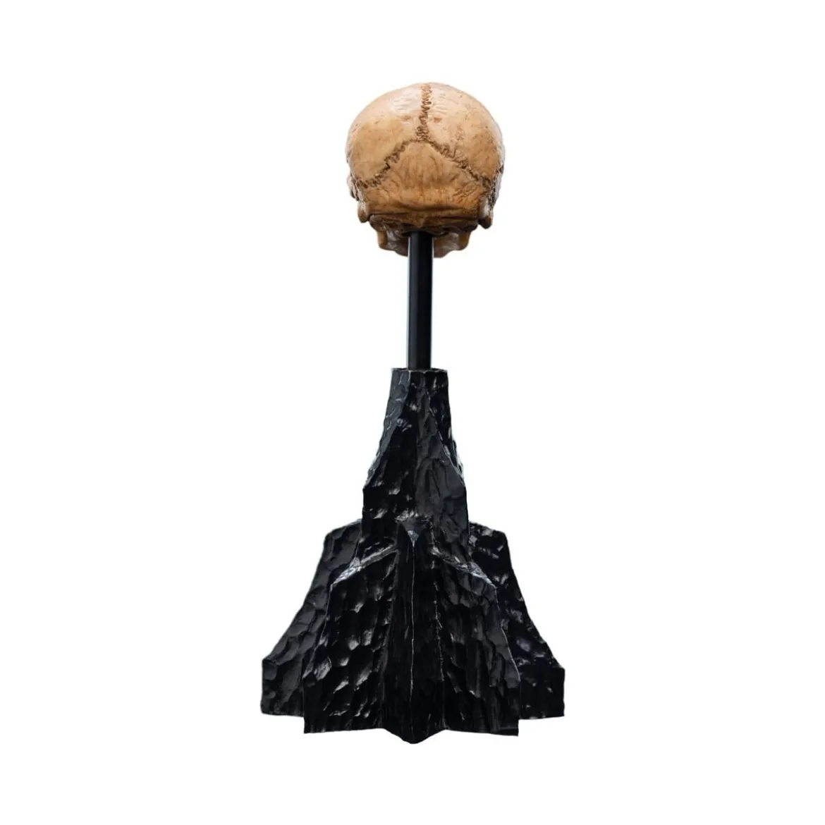 Weta - Le Seigneur des Anneaux - Skull of Gollum - LOTR
