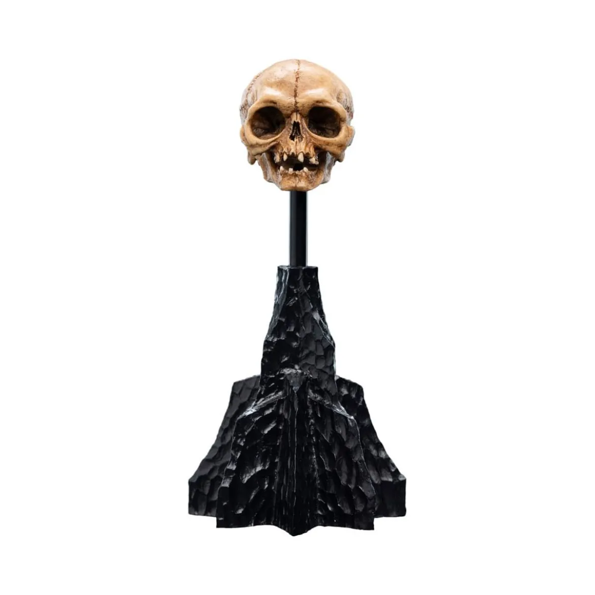 Weta - Le Seigneur des Anneaux - Skull of Gollum - LOTR