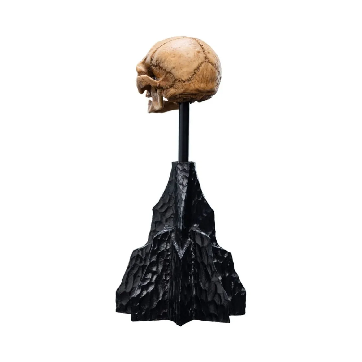 Weta - Le Seigneur des Anneaux - Skull of Gollum - LOTR