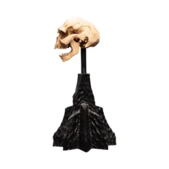 Weta - Le Seigneur des Anneaux - Skull of a Moria Orc - LOTR
