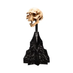 Weta - Le Seigneur des Anneaux - Skull of a Moria Orc - LOTR