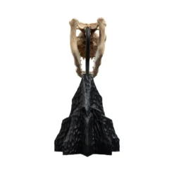Weta - Le Seigneur des Anneaux - Skull of a Fell Beast - LOTR