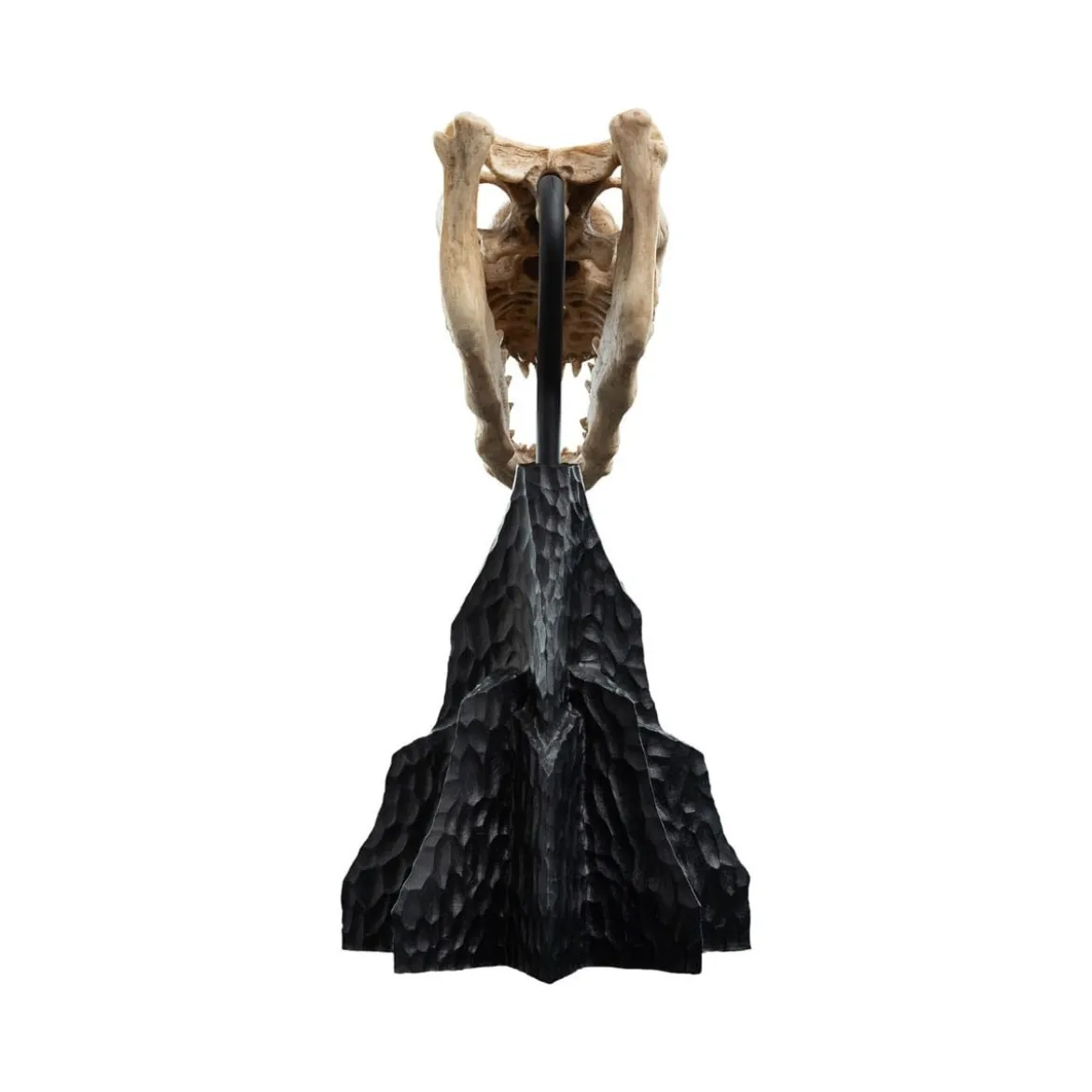 Weta - Le Seigneur des Anneaux - Skull of a Fell Beast - LOTR
