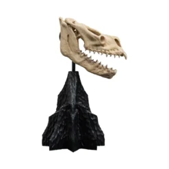 Weta - Le Seigneur des Anneaux - Skull of a Fell Beast - LOTR