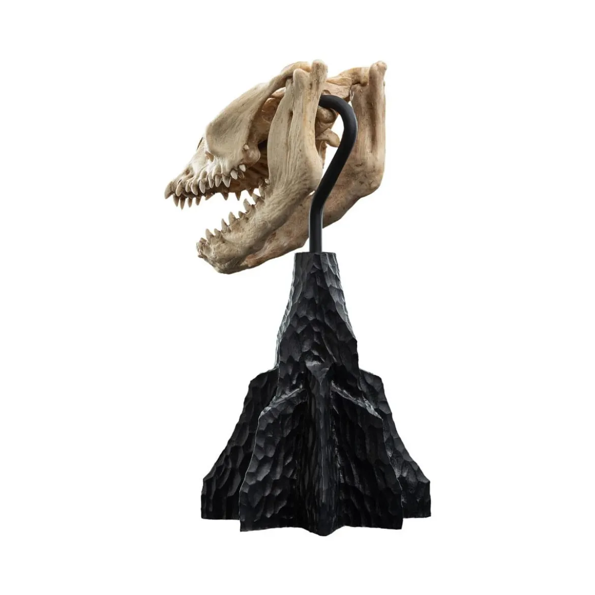 Weta - Le Seigneur des Anneaux - Skull of a Fell Beast - LOTR
