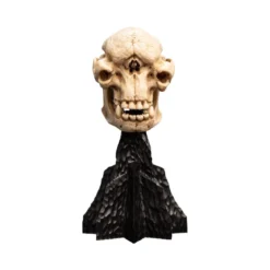 Weta - Le Seigneur des Anneaux - Skull of a Cave Troll - LOTR