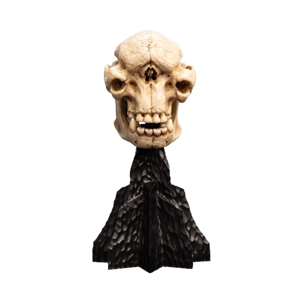 Weta - Le Seigneur des Anneaux - Skull of a Cave Troll - LOTR