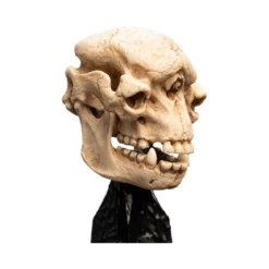 Weta - Le Seigneur des Anneaux - Skull of a Cave Troll - LOTR