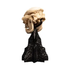Weta - Le Seigneur des Anneaux - Skull of a Cave Troll - LOTR