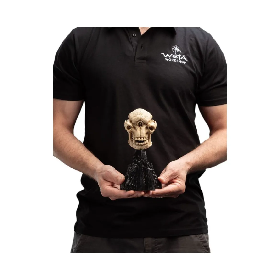 Weta - Le Seigneur des Anneaux - Skull of a Cave Troll - LOTR