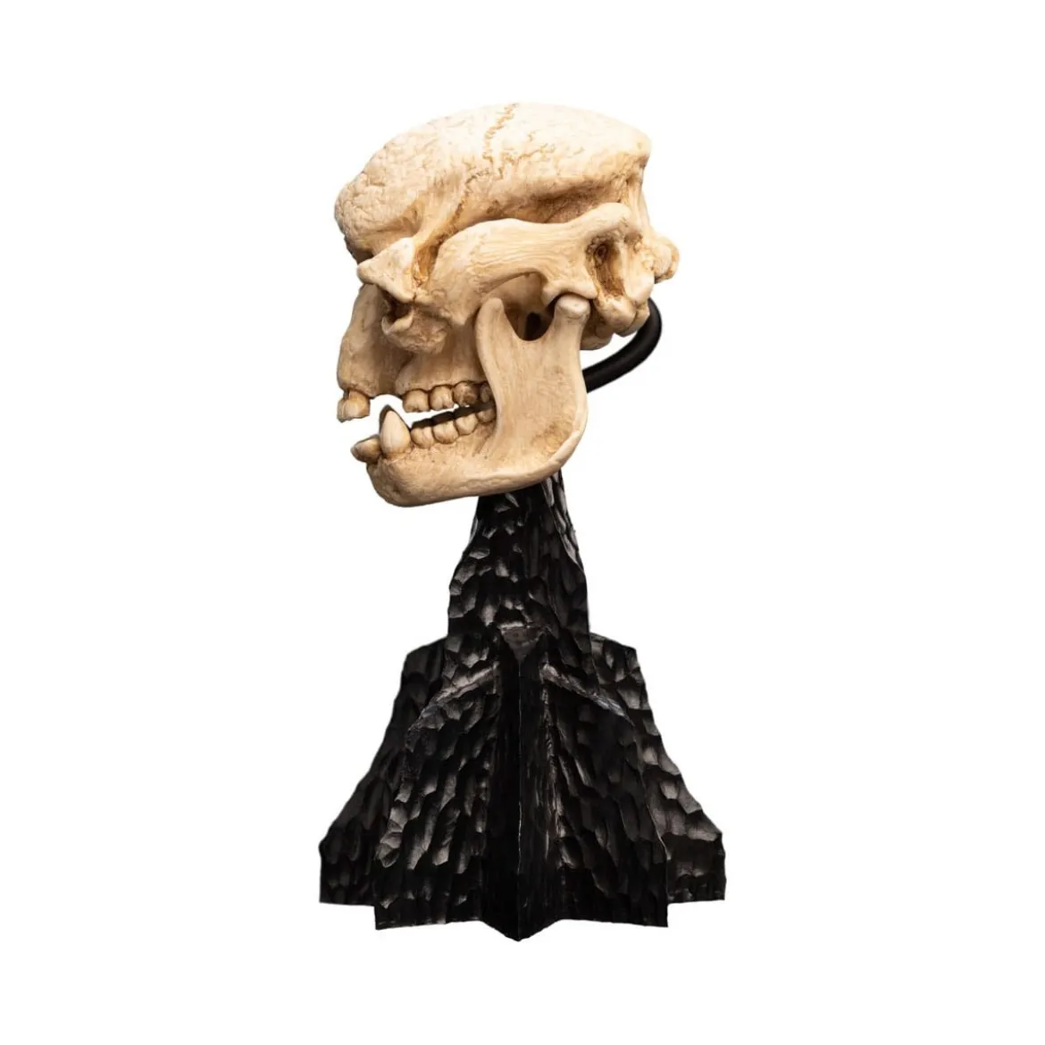 Weta - Le Seigneur des Anneaux - Skull of a Cave Troll - LOTR