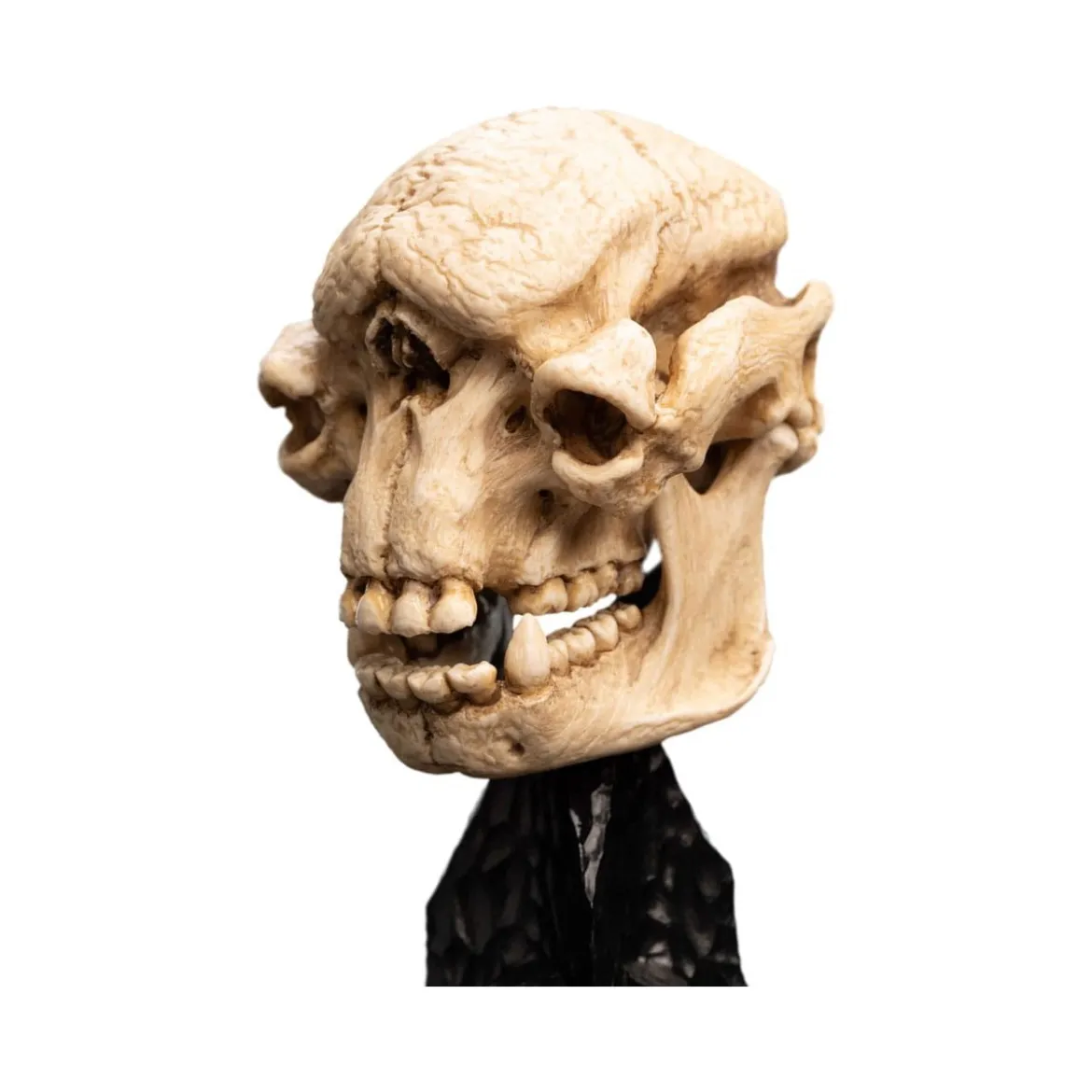 Weta - Le Seigneur des Anneaux - Skull of a Cave Troll - LOTR