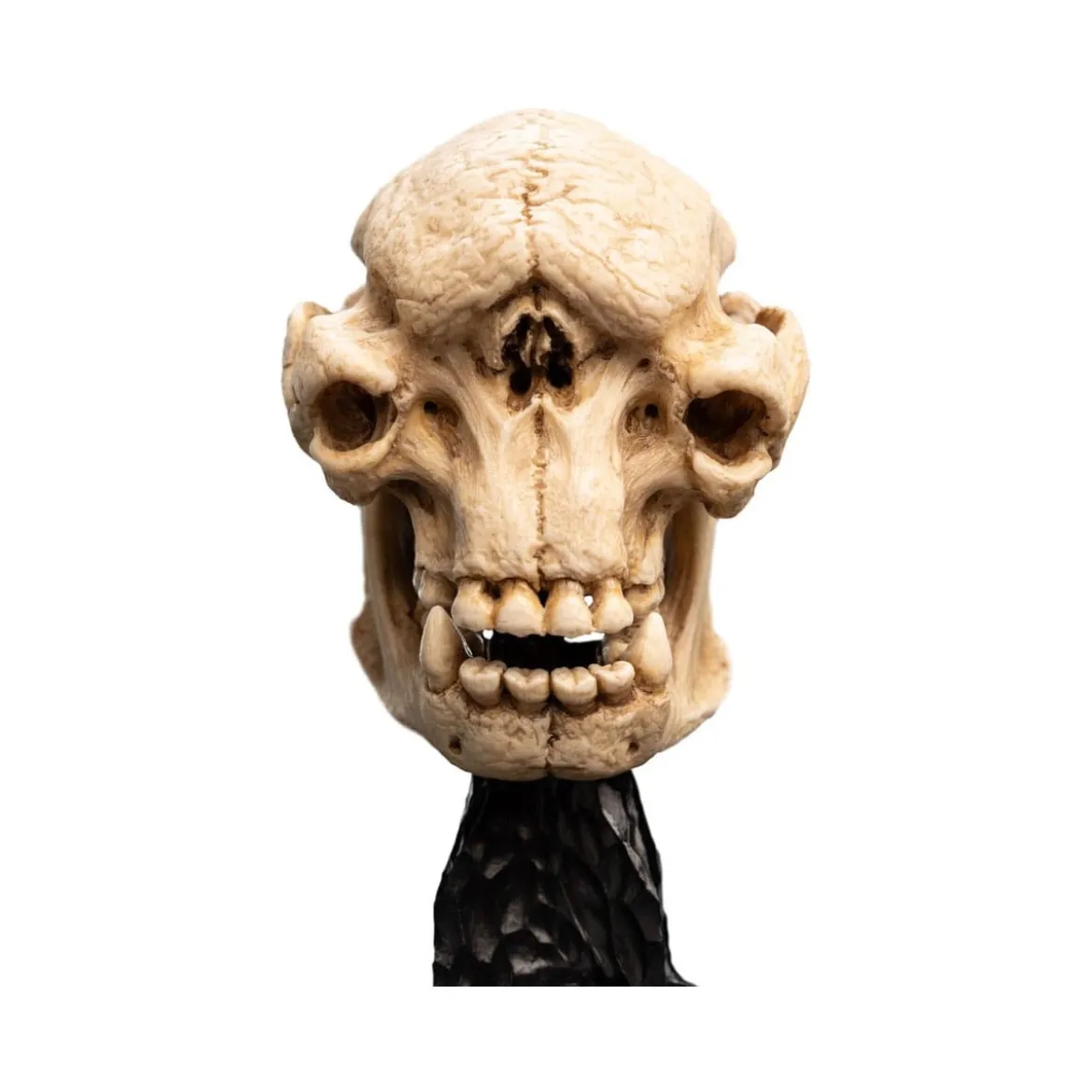 Weta - Le Seigneur des Anneaux - Skull of a Cave Troll - LOTR