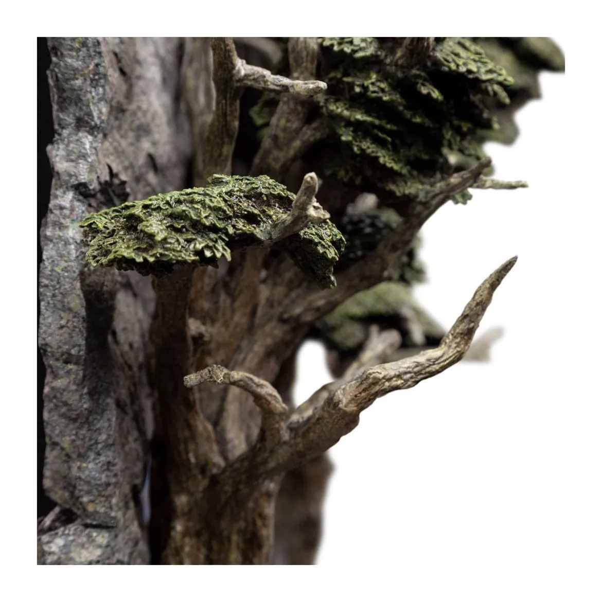 Weta - The Doors of Durin Environment - Le seigneur des anneaux